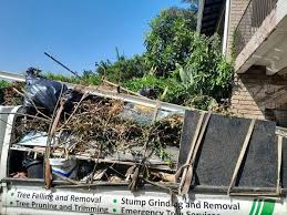 Junk Removal for Events in Paradise Hills, NM