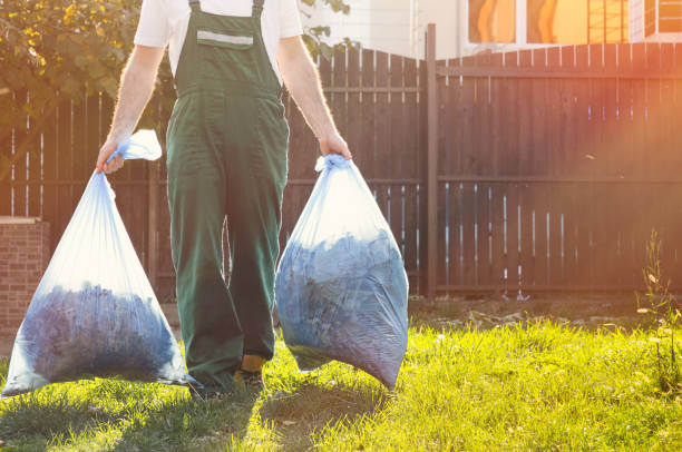 Best Demolition Debris Removal  in Paradise Hills, NM